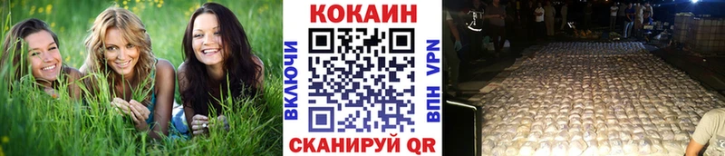 Cocaine Перу  Купить где  Бородино 