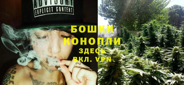 гидропоника Гусиноозёрск