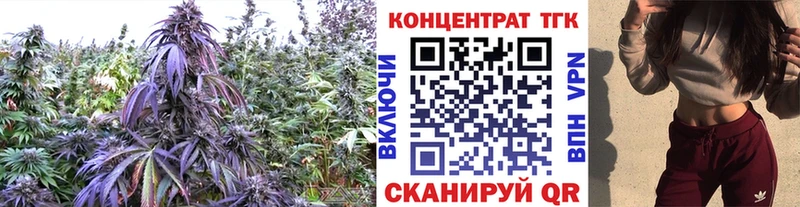 ТГК гашишное масло  Купить  Бородино 