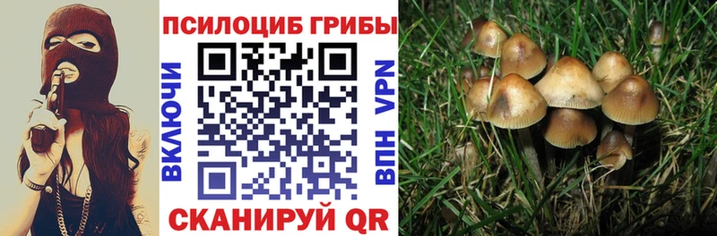 Галлюциногенные грибы Cubensis  Купить где  Бородино 